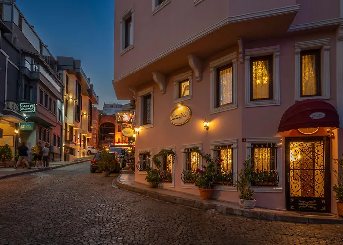 호텔 오스만한 3*